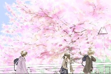 蘑菇社区网页版